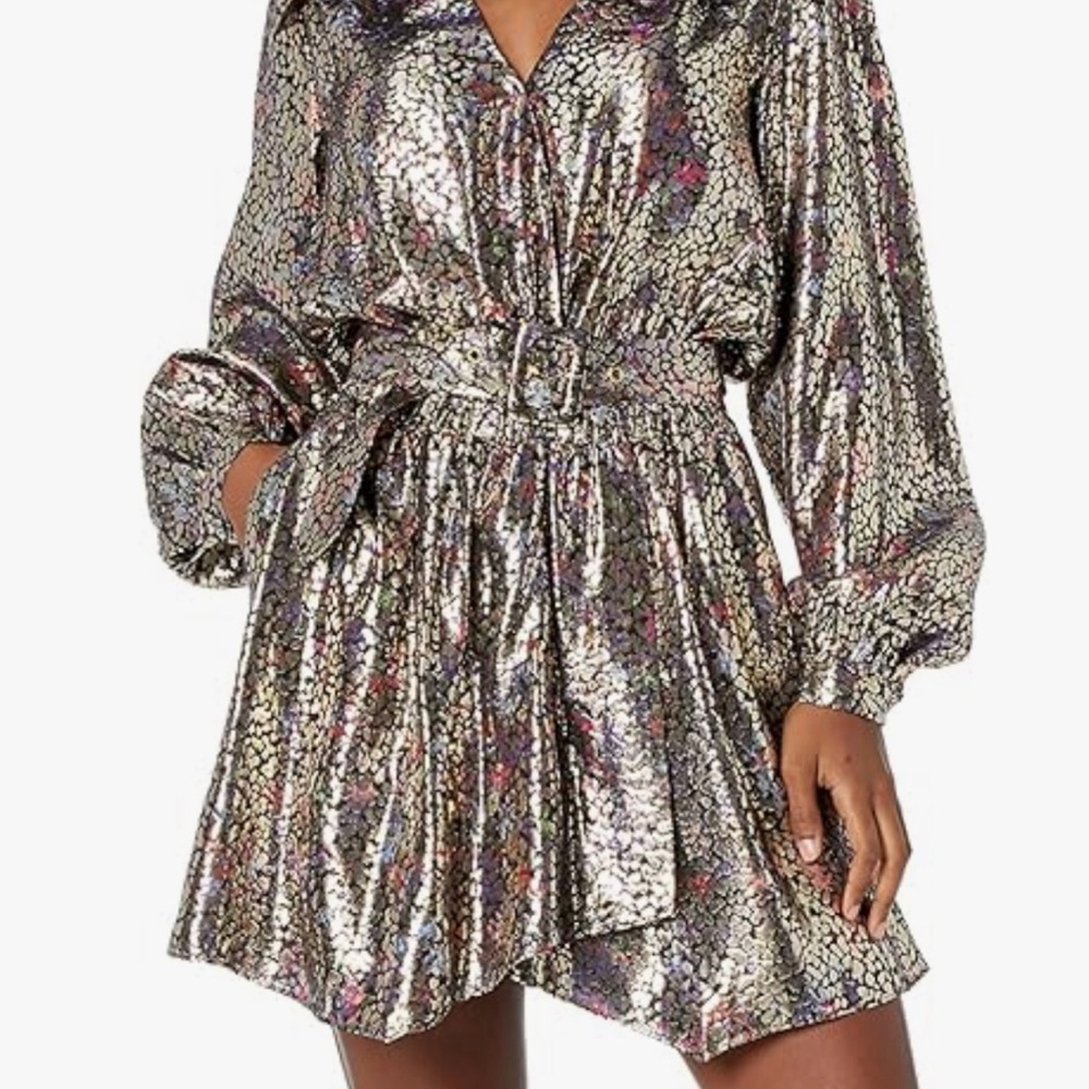 Ramy Brook Printed January Dress with Belt  size 4